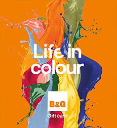 Life In Colour Paint